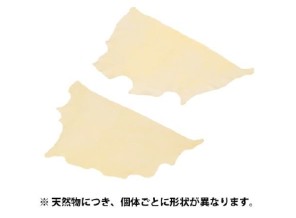 ［ETSUMI］E-5276 セーム革 L