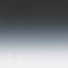 ［堀内カラー］82219 グラペB2-21 ブラック