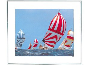 ［FUJICOLOR］アルミ額縁 A105A 全紙 シルバー【2月下旬】