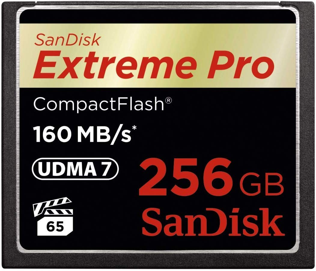 ［サンディスク］SDCFXPS-256G-X46（海外パッケージ品）