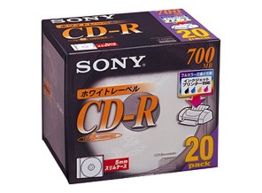 ［SONY］20CDQ80DPW