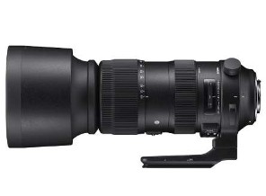 ［シグマ］60-600 F4.5-6.3 DG OS HSM ニコン用