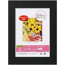 ［ナカバヤシ］DigioカラーVカットマット台紙 DGVM-2L-D ブラック