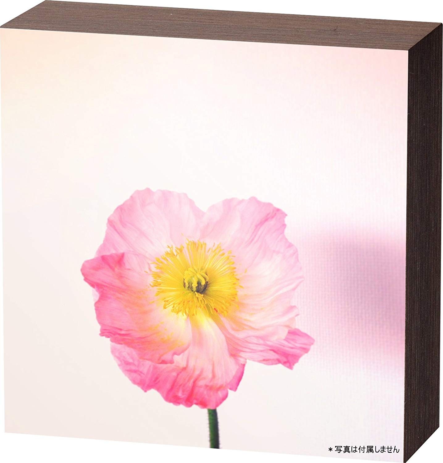 ［富士フイルム］シャコラ（shacolla） BOXタイプ ましかく BR-W