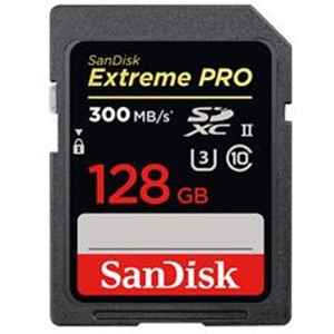[サンディスク] SDSDXPK-128G-GN4IN(海外パッケージ)
