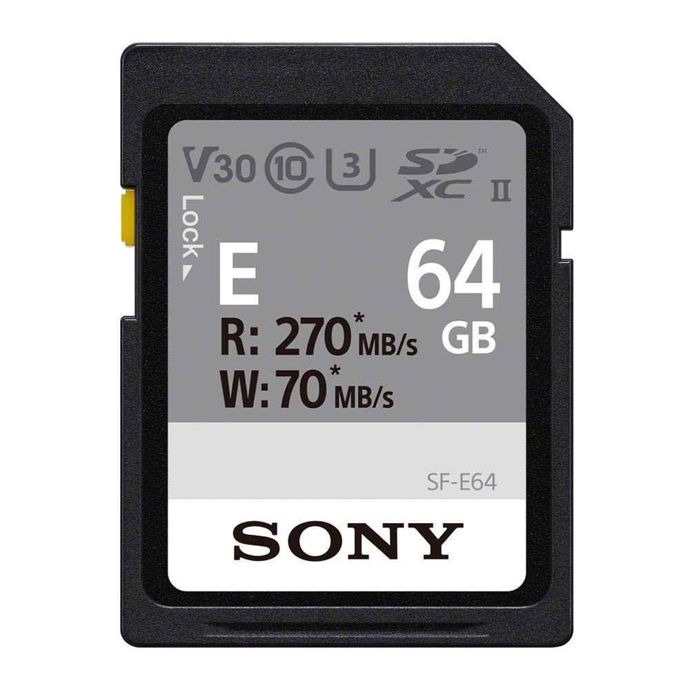 ［SONY］SDメモリーカード SF-E64 T1