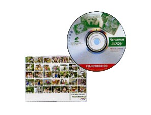 ［富士フイルム］FUJICOLOR CD-R DVD V4.2 30×1 （一般用）