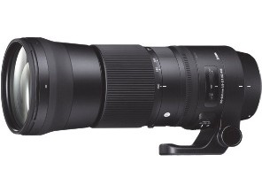 ［シグマ］150-600/F5-6.3 DG OS HSM (C) ニコン用