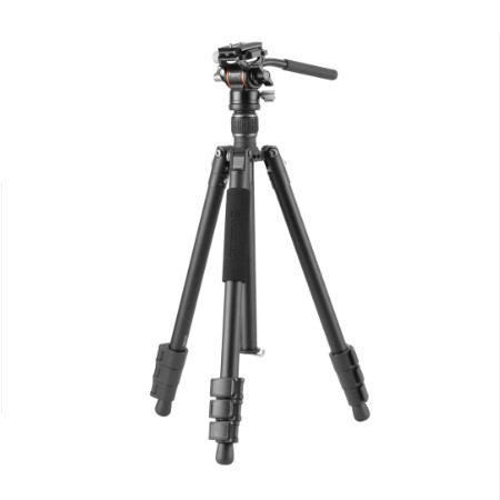 ［Vanguard］VESTA GO 234AV10