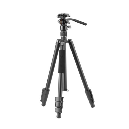 ［Vanguard］VESTA GO 264AV12