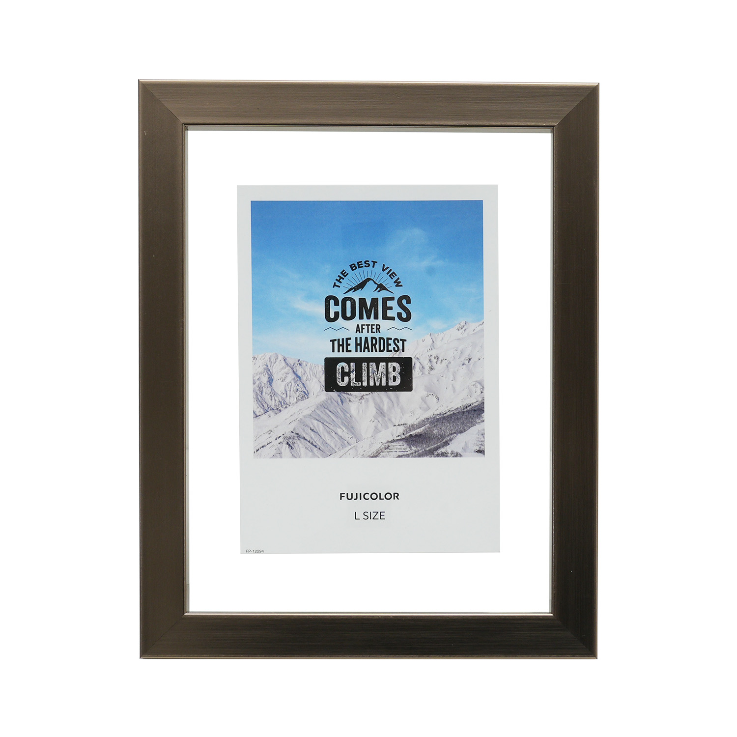 ［FUJICOLOR］フローティーフレームMetalloat L ブロンズ