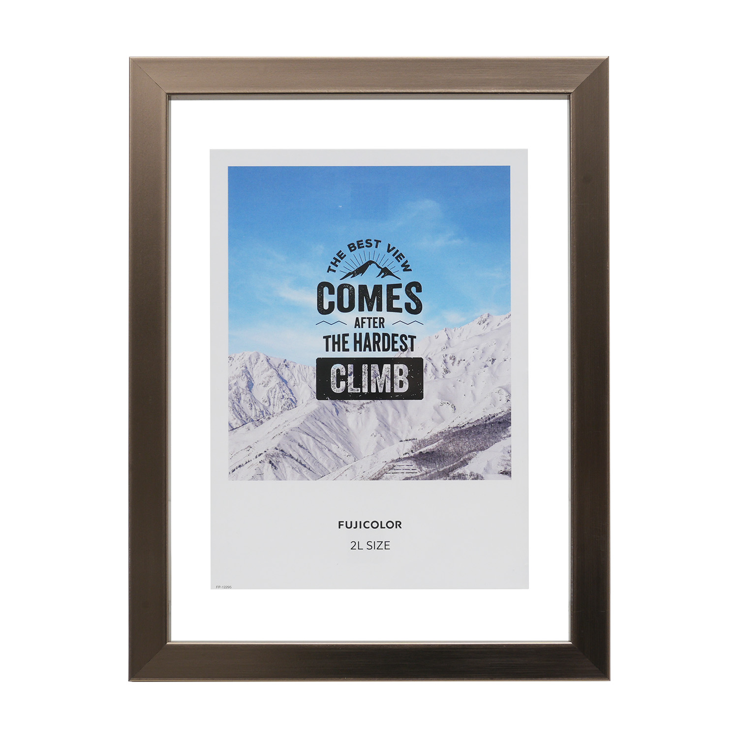 ［FUJICOLOR］フローティーフレームMetalloat 2L ブロンズ