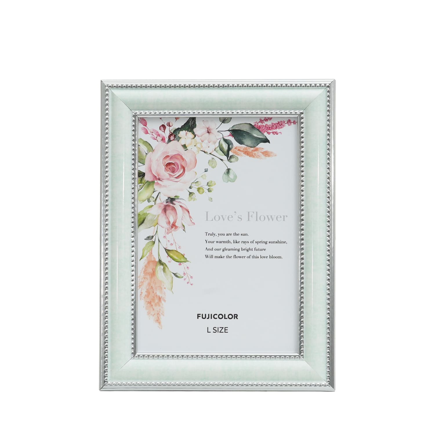 ［FUJICOLOR］マーブルカラーフレーム 2701L MG