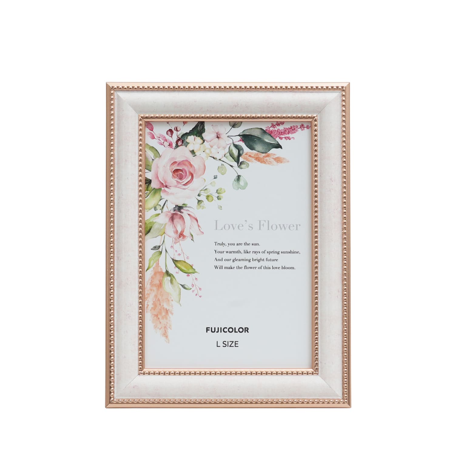 ［FUJICOLOR］マーブルカラーフレーム 2702L PK