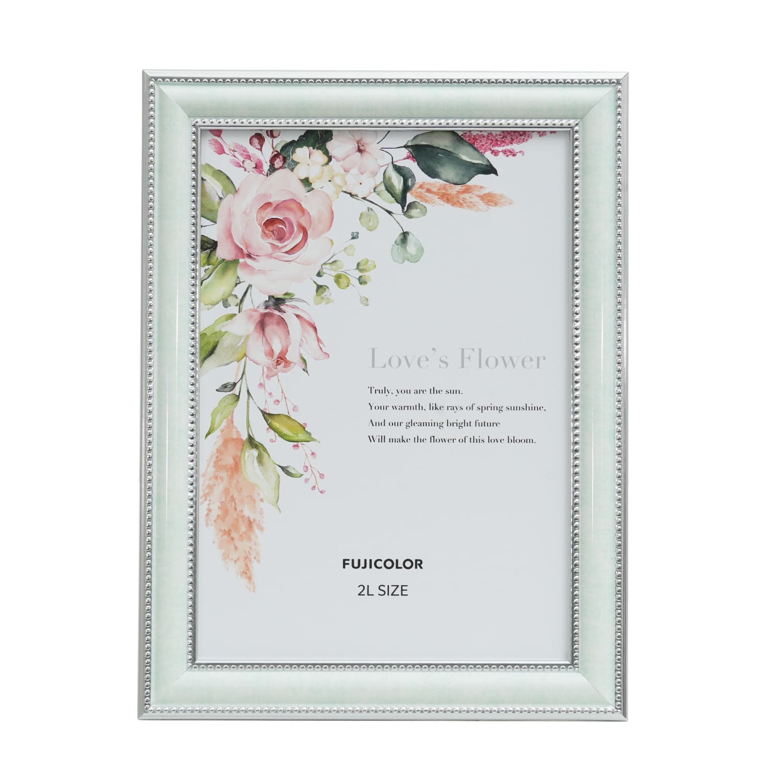 ［FUJICOLOR］マーブルカラーフレーム 2801K MG