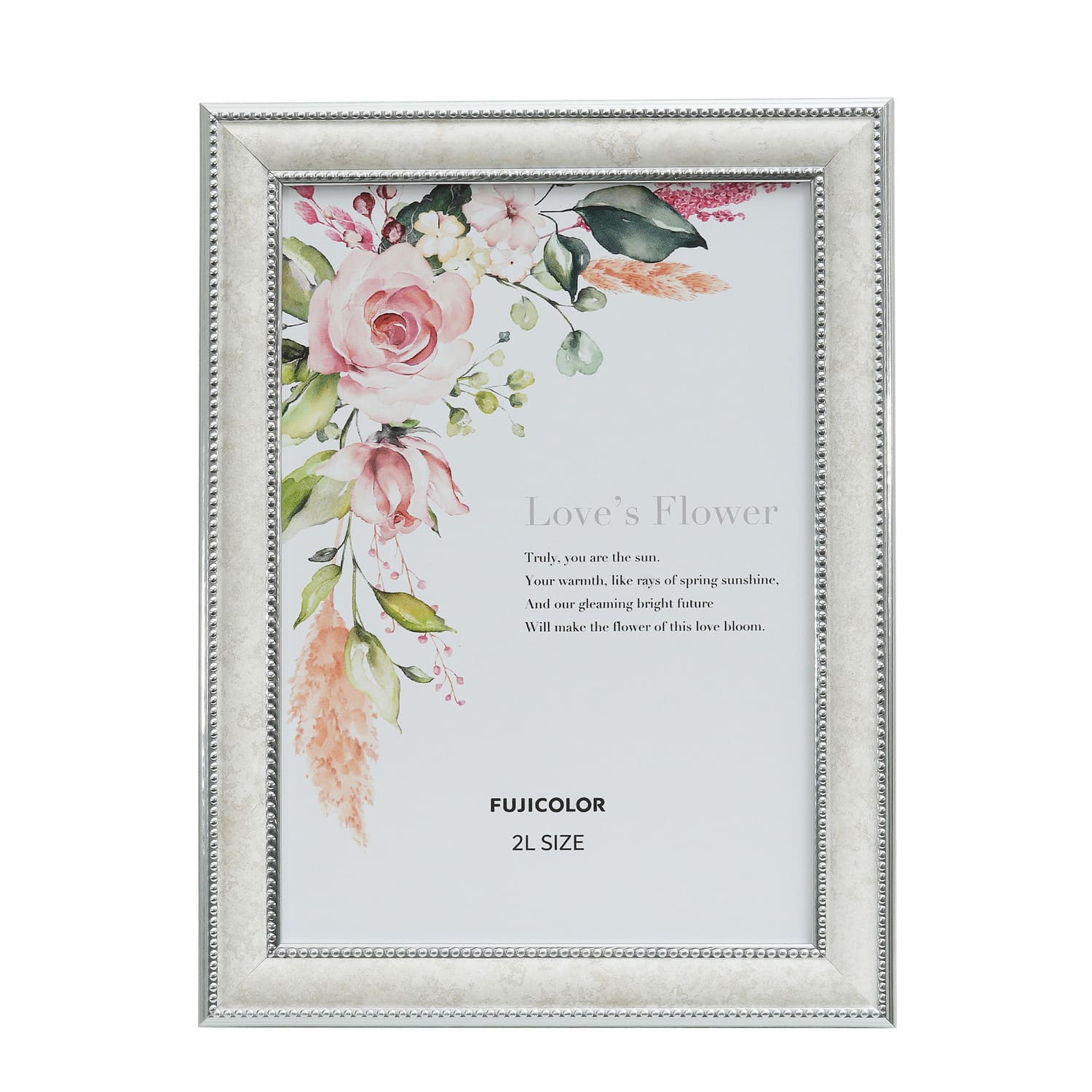 ［FUJICOLOR］マーブルカラーフレーム 2803K WH